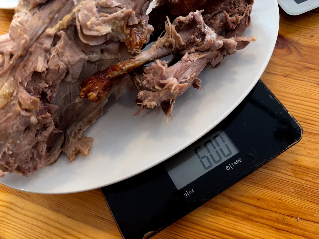 Karkasse nach dem Versuch — 600 Gramm