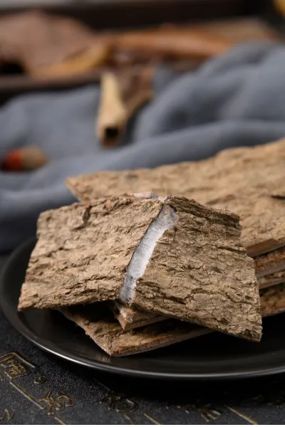 杜仲 Eucommia-Rinde — 干燥树皮的特写